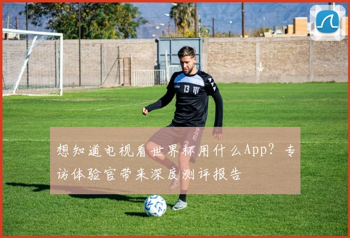 想知道电视看世界杯用什么App？专访体验官带来深度测评报告
