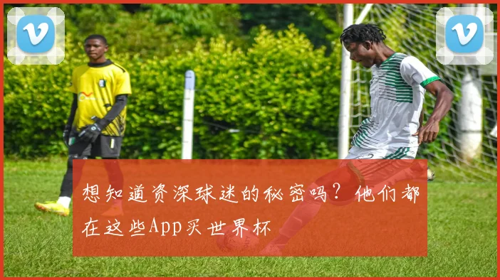 想知道资深球迷的秘密吗？他们都在这些App买世界杯