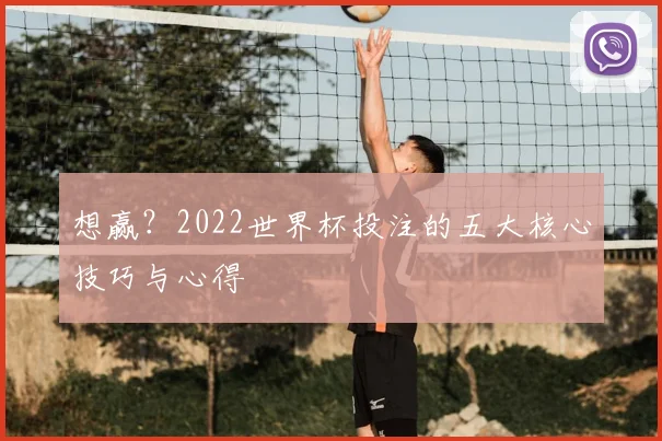 想赢？2022世界杯投注的五大核心技巧与心得
