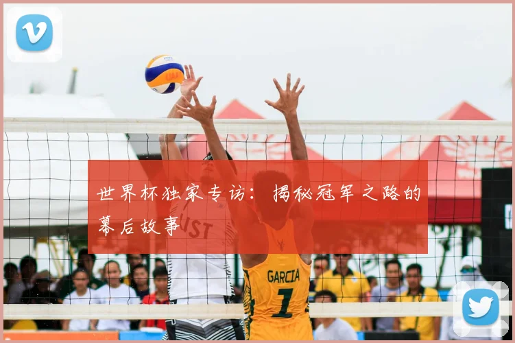 世界杯独家专访：揭秘冠军之路的幕后故事