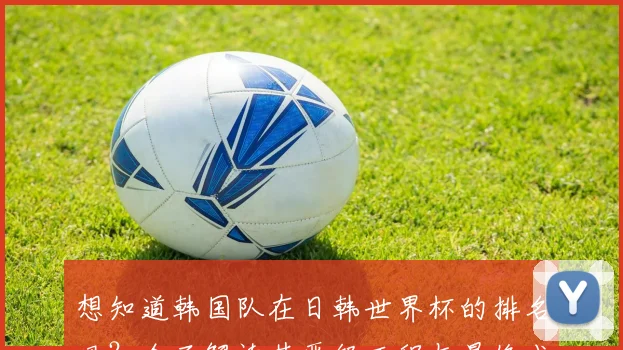 想知道韩国队在日韩世界杯的排名吗？全面解读其晋级历程与最终成绩