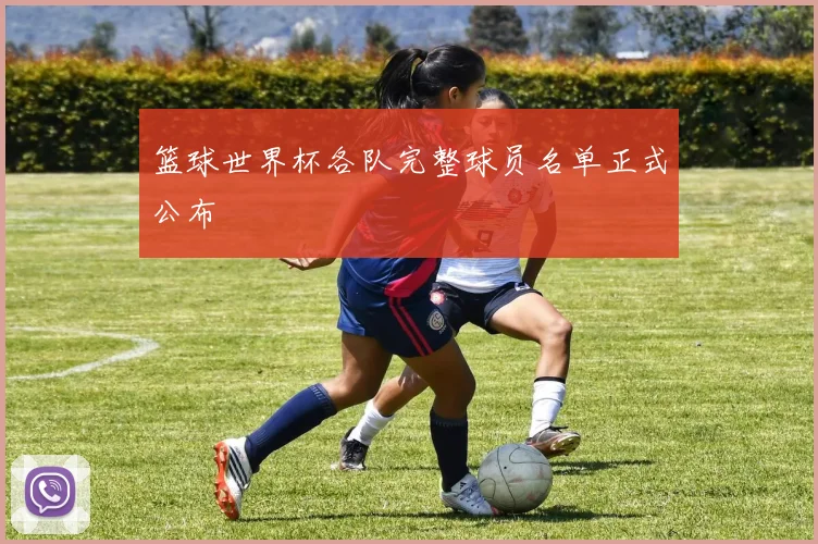 篮球世界杯各队完整球员名单正式公布
