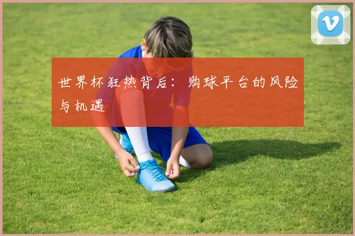 世界杯狂热背后：购球平台的风险与机遇