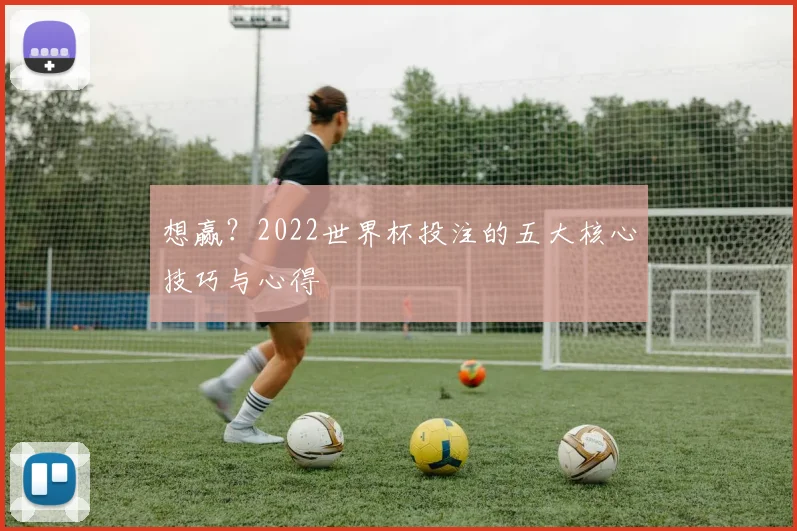 想赢？2022世界杯投注的五大核心技巧与心得