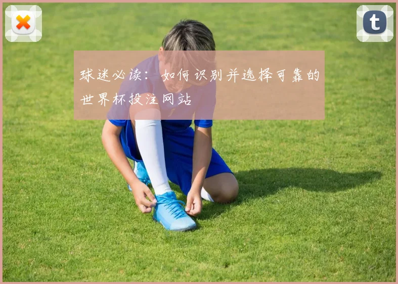 球迷必读：如何识别并选择可靠的世界杯投注网站